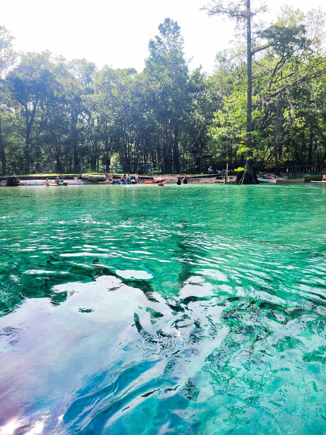 View Our Gallery Vernon, FL Canoe Adventures