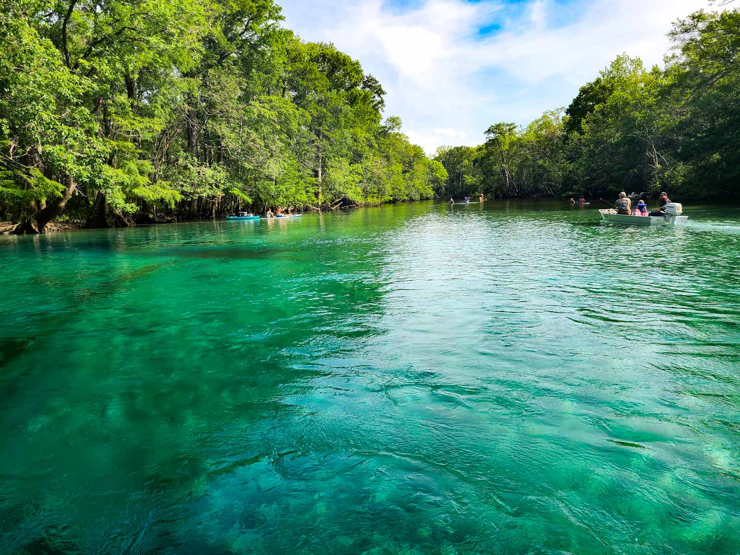 Canoe Adventures | Cypress Springs | Vernon, FL | Kayaks | Canoes | Paddleboards