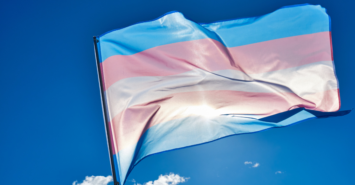 Trans flag waving against a blue sky.