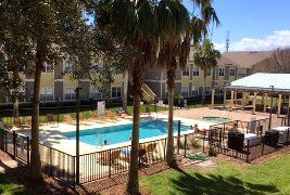 a large swimming pool surrounded by palm trees in front of a building .