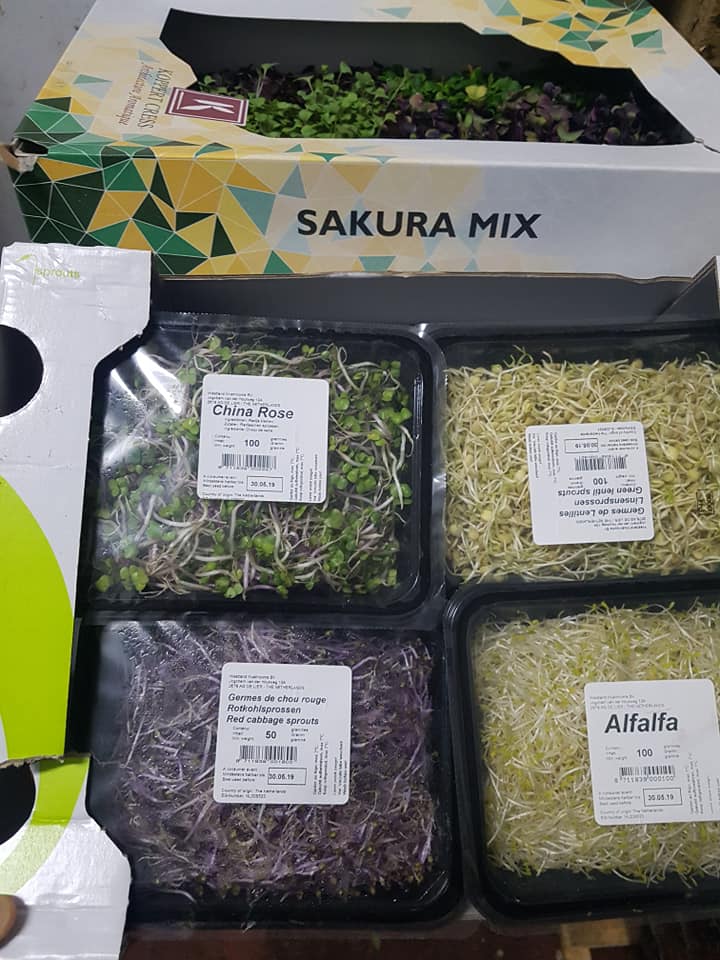 vendita di germogli e insalate