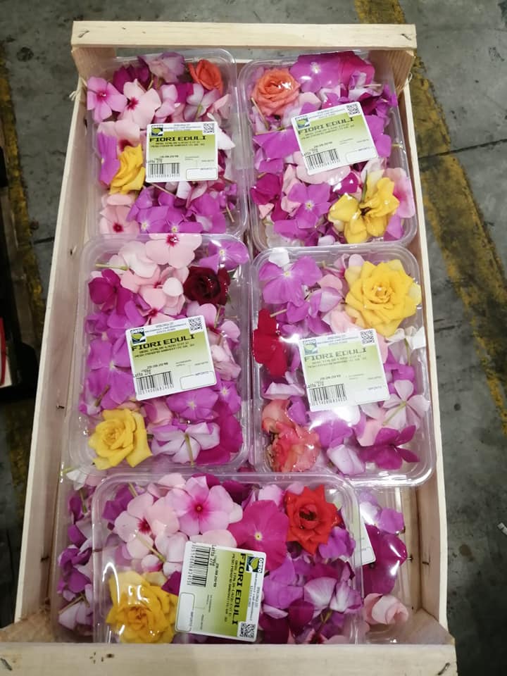 vendita di fiori edibili