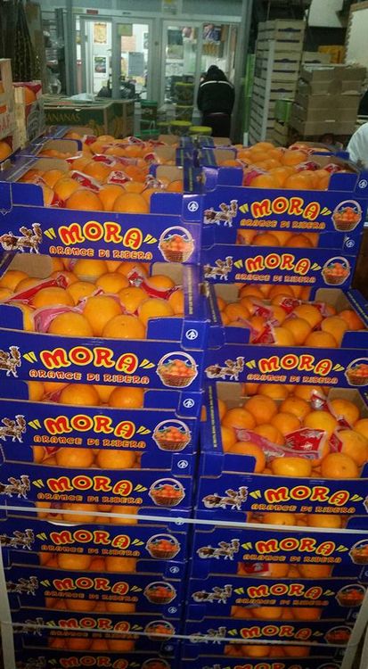vendita di arance siciliane