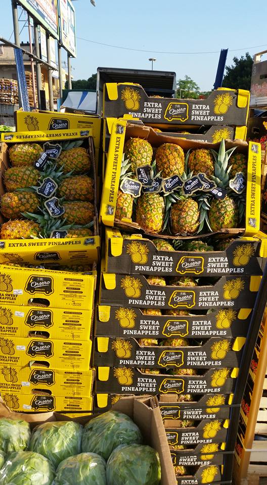 fornitura di prodotti ortofrutticoli all'ingrosso