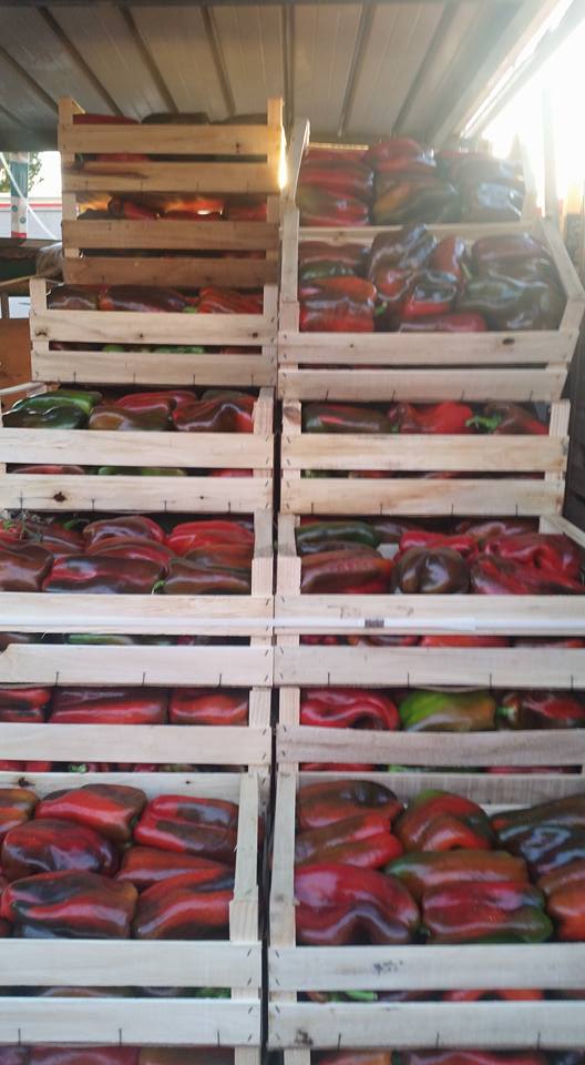 vendita di peperoni all'ingrosso e al dettaglio