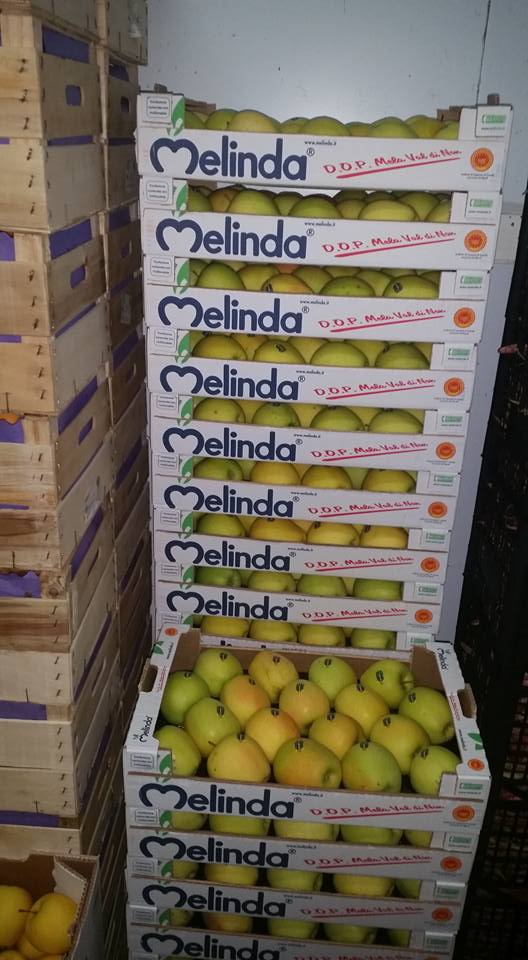 cassette di mele gialle