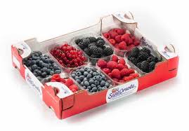 cassetta di frutti rossi