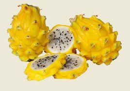 frutti esotici per negozi e ristoranti