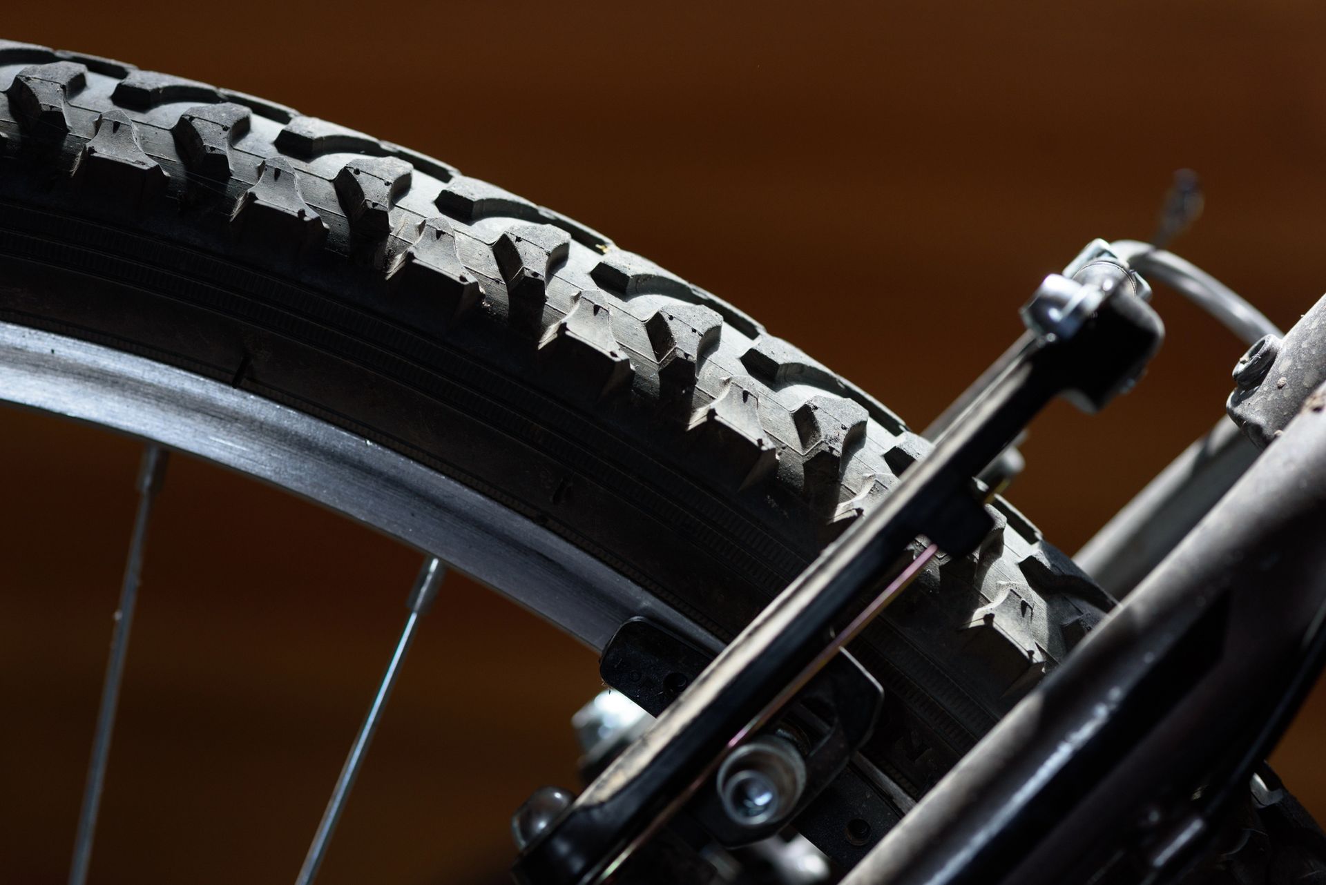 Passione e competenza al servizio del ciclismo