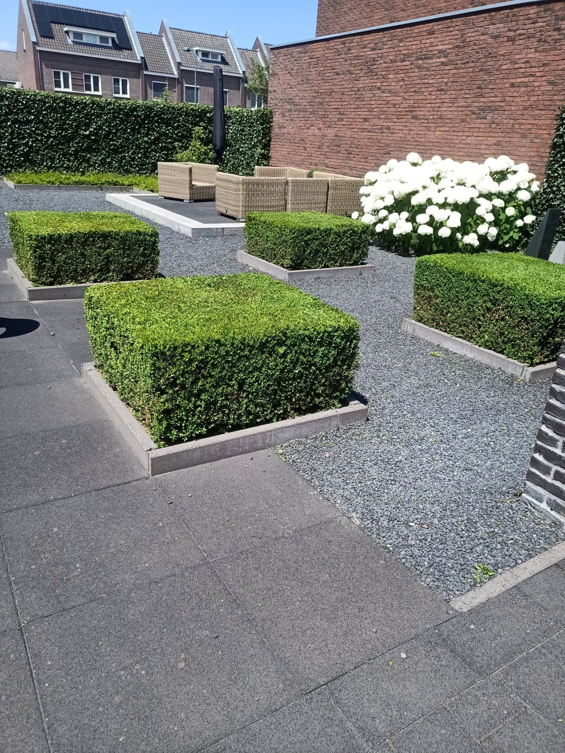 tuin