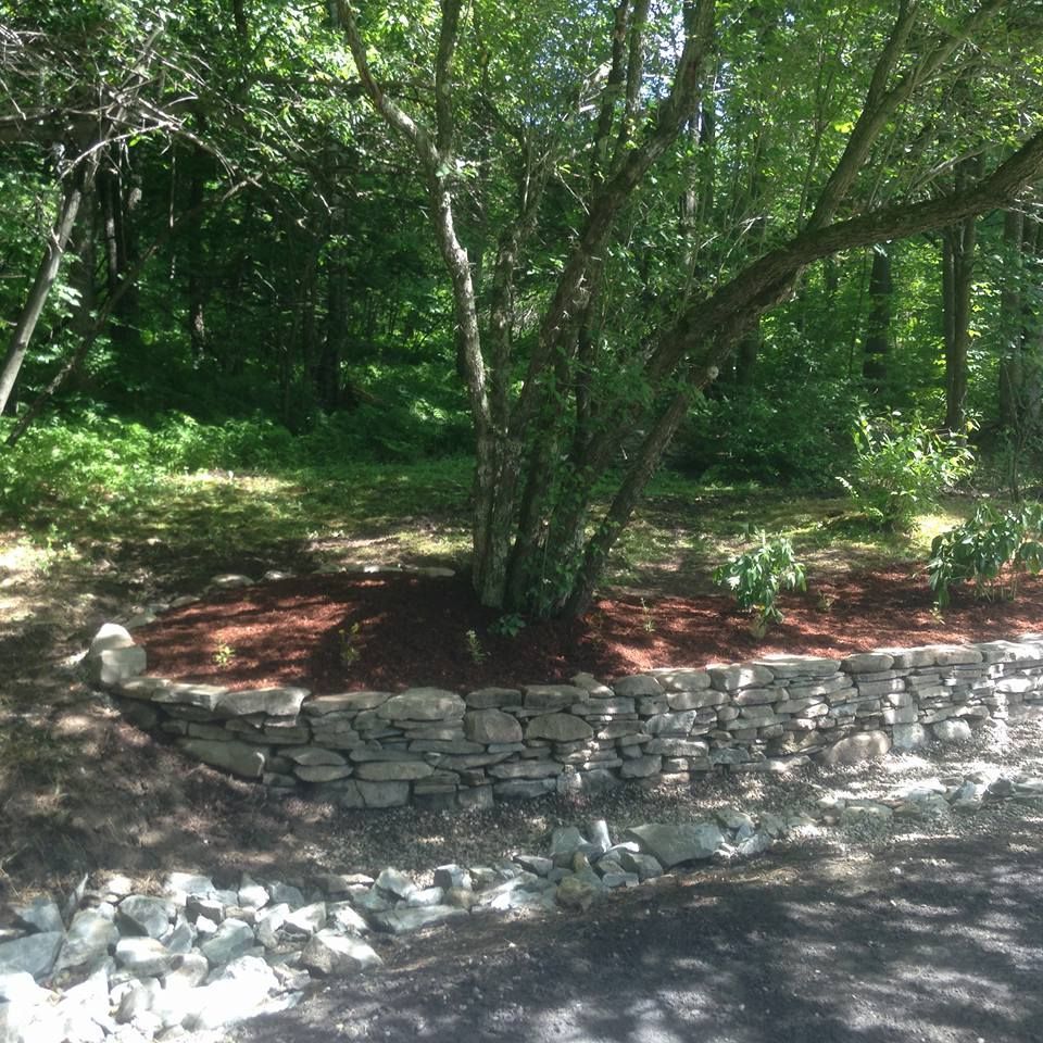 Stone retaining wall around a tree, mulched bed, in a wooded setting.