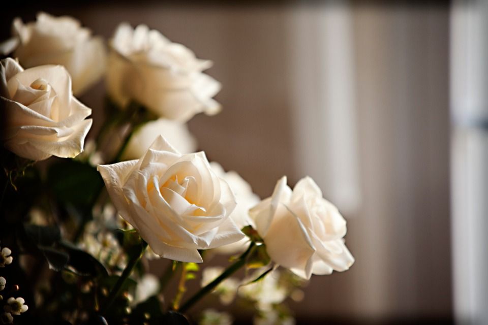 fiori bianchi per defunto