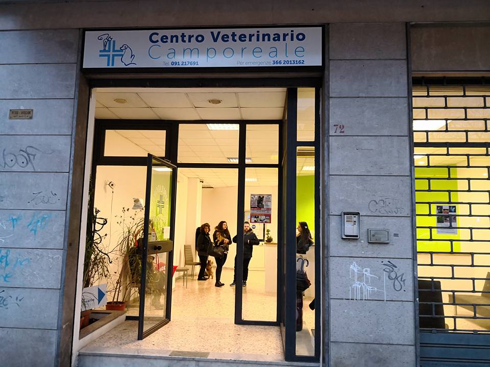 Analisi Cliniche Aperte Di Sabato A Palermo