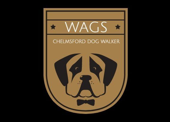 WAGS-dog-walker-chelmsford