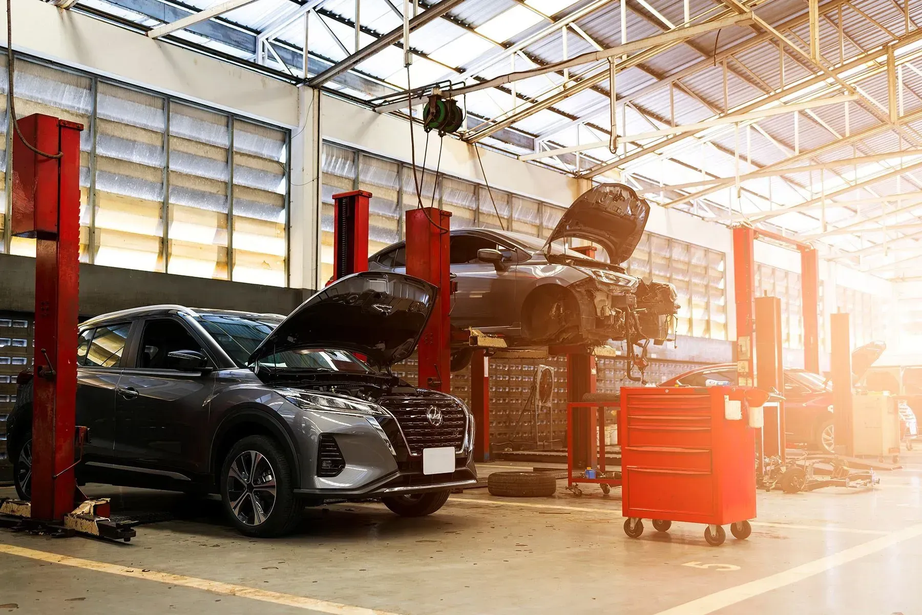 Cars in a Repair Shop With Hoods Open, on Lifts, Near a Red Toolbox — B Wild Auto Repairs In North Gosford, NSW
