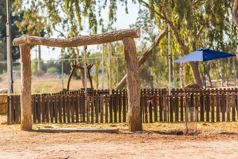 ATP ADIESTRAMIENTO CANINO