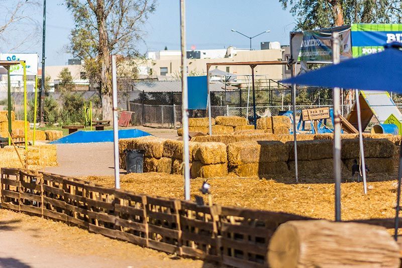 ATP ADIESTRAMIENTO CANINO