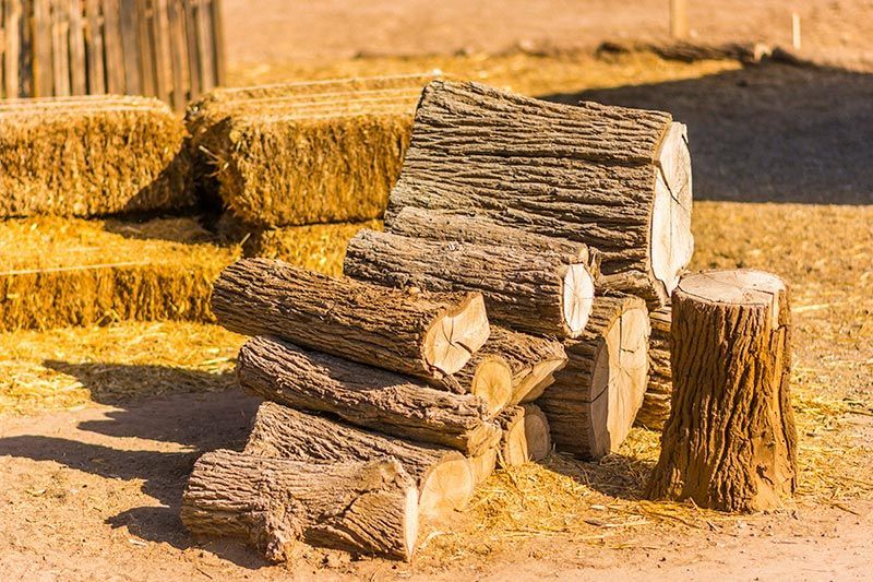 ATP ADIESTRAMIENTO CANINO