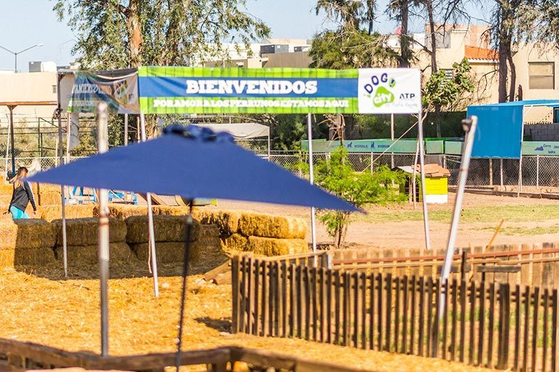 ATP ADIESTRAMIENTO CANINO