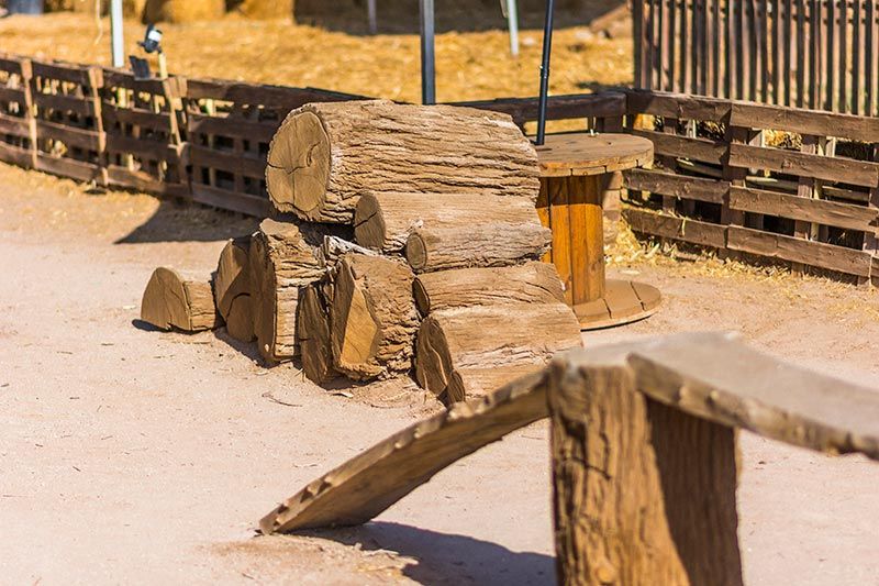 ATP ADIESTRAMIENTO CANINO