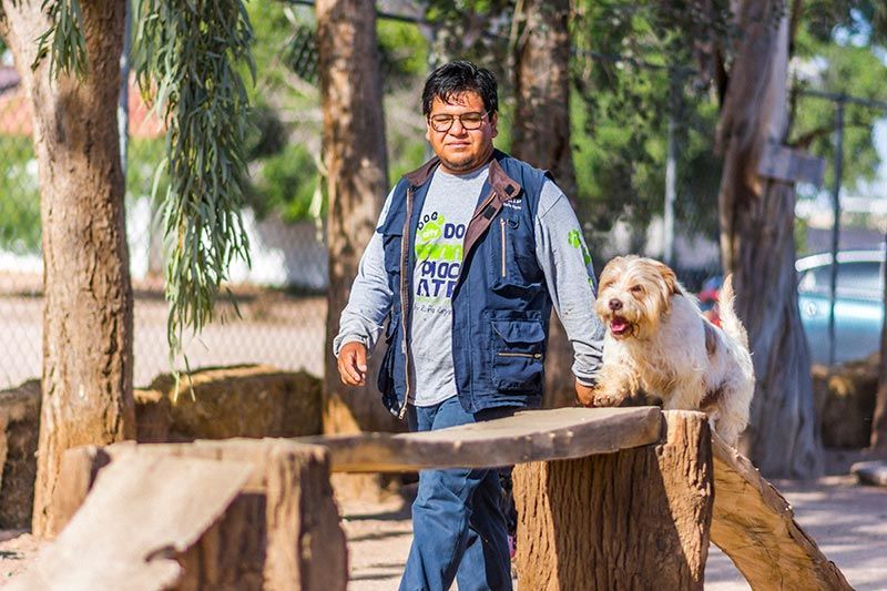 ATP ADIESTRAMIENTO CANINO