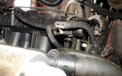 A close up of a car engine with hose attached to it.