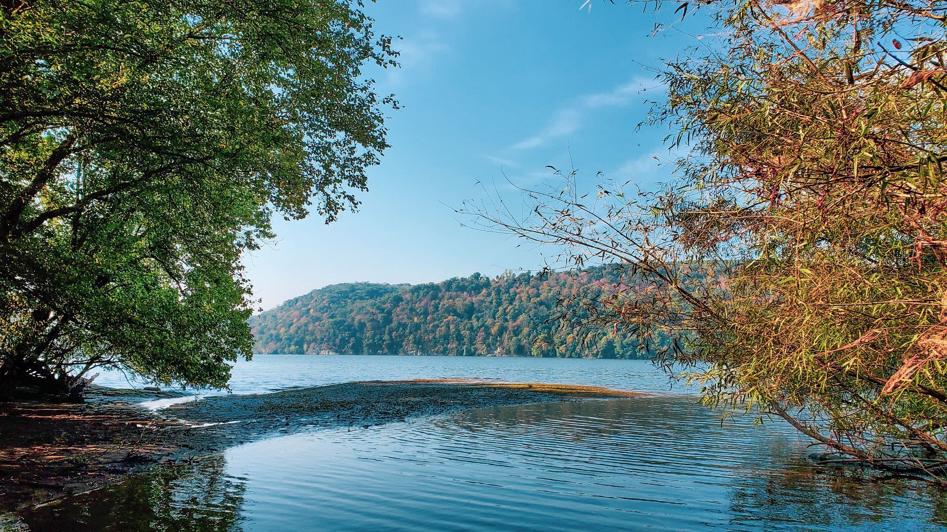 A lake surrounded by trees on a sunny day