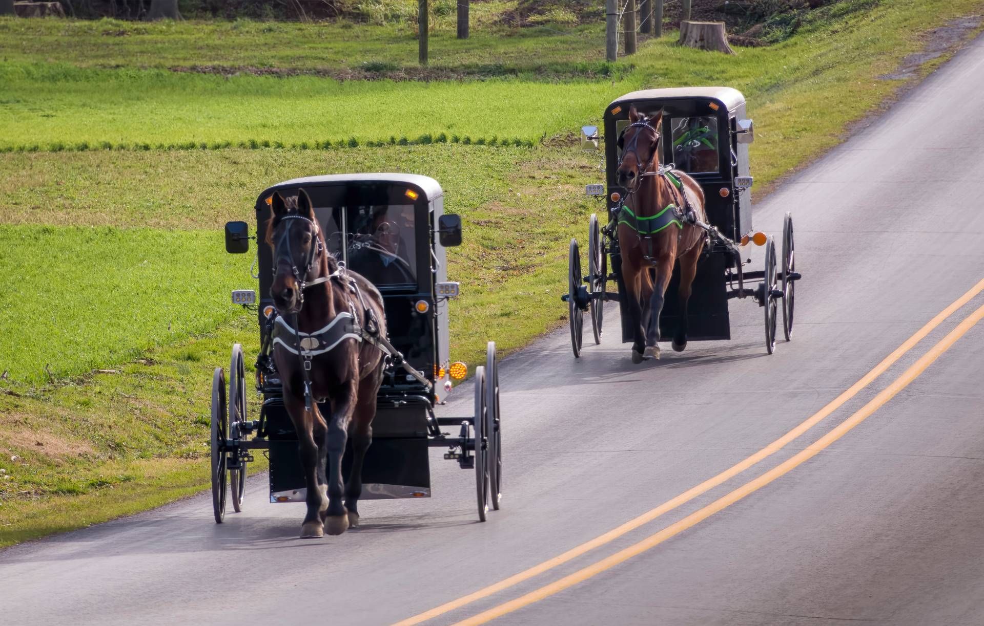 Two horse drawn carriages are driving down a road.