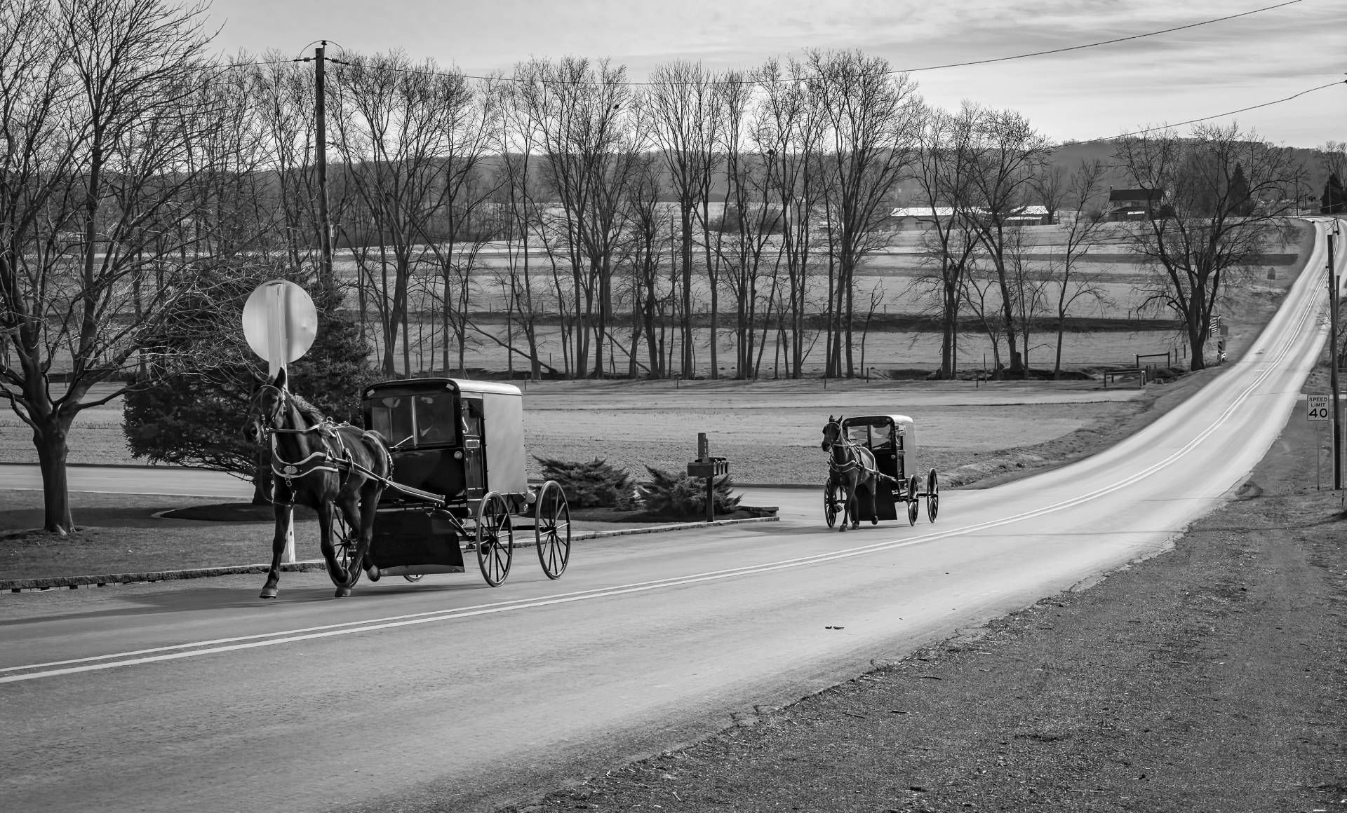 A black and white photo of a horse drawn carriage on a road