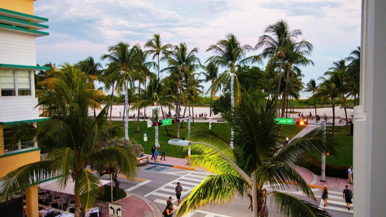 A view of a city street with palm trees and a red light.