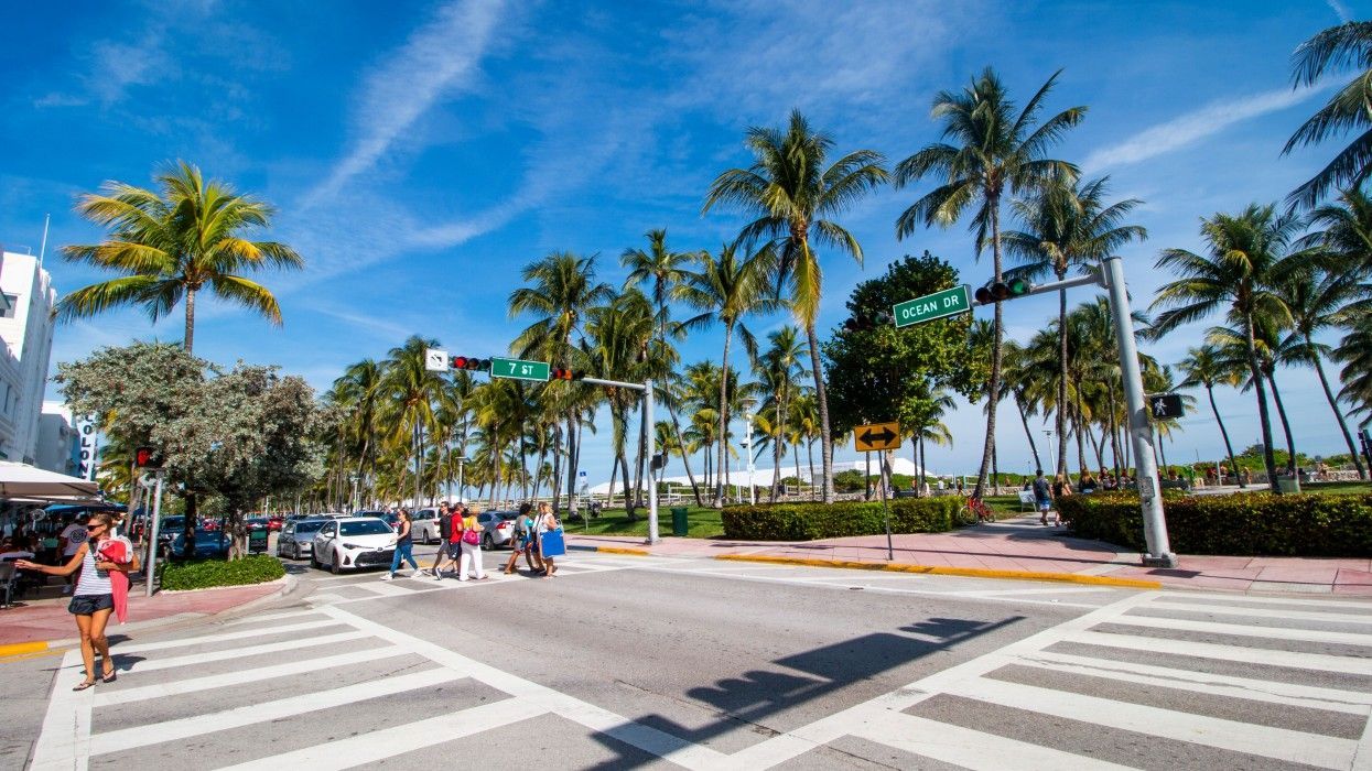 A woman is crossing a street in a city surrounded by palm trees.