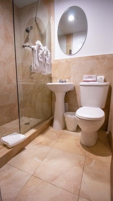 A bathroom with a toilet , sink and shower.