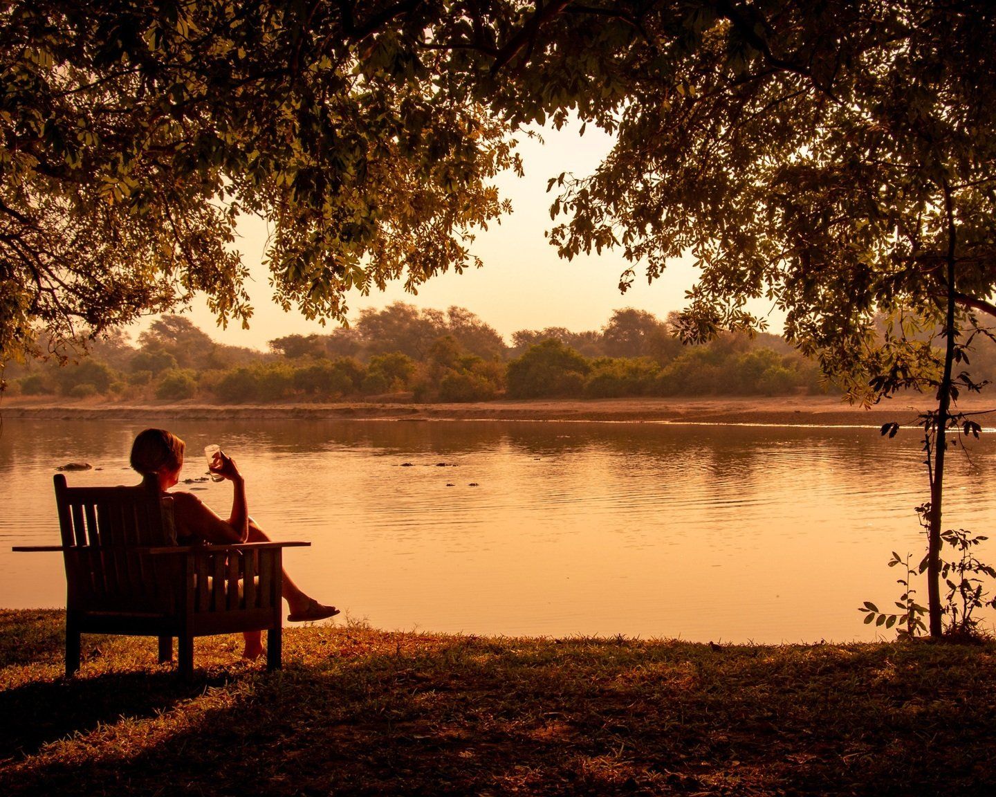 en kvinde sidder på en bænk under et træ med udsigt over en sø