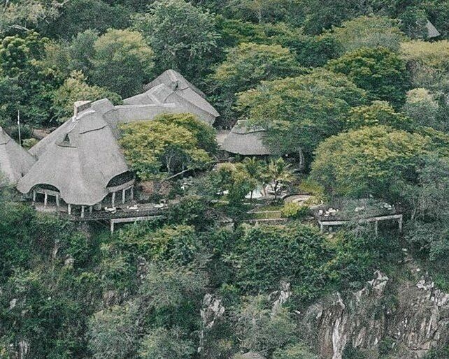 en luftfoto af en stråtækt hytte midt i en skov.