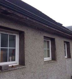 gutter cleaning 
