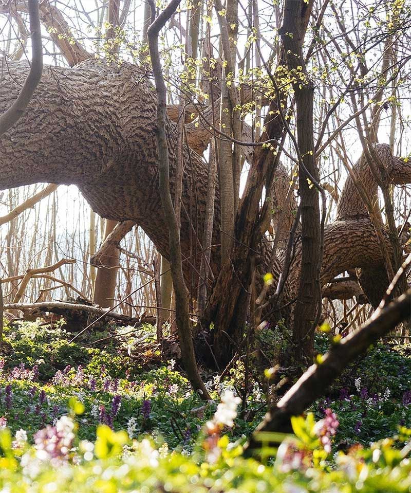 Destination Sjælland