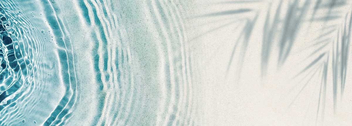 Et nærbillede af en swimmingpool med en palmetræskygge på væggen.