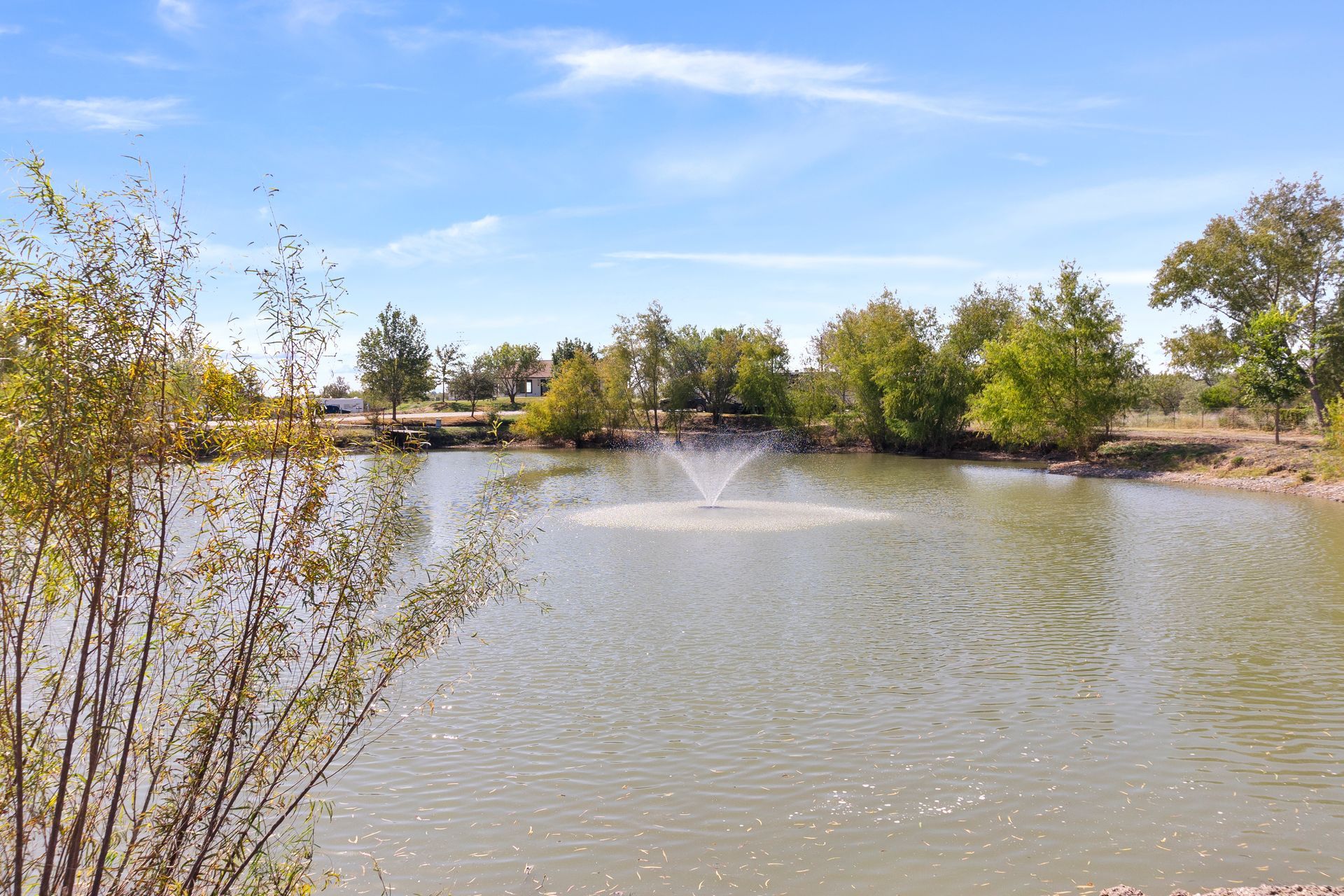 two young boys fishing in a pond with trees in the background