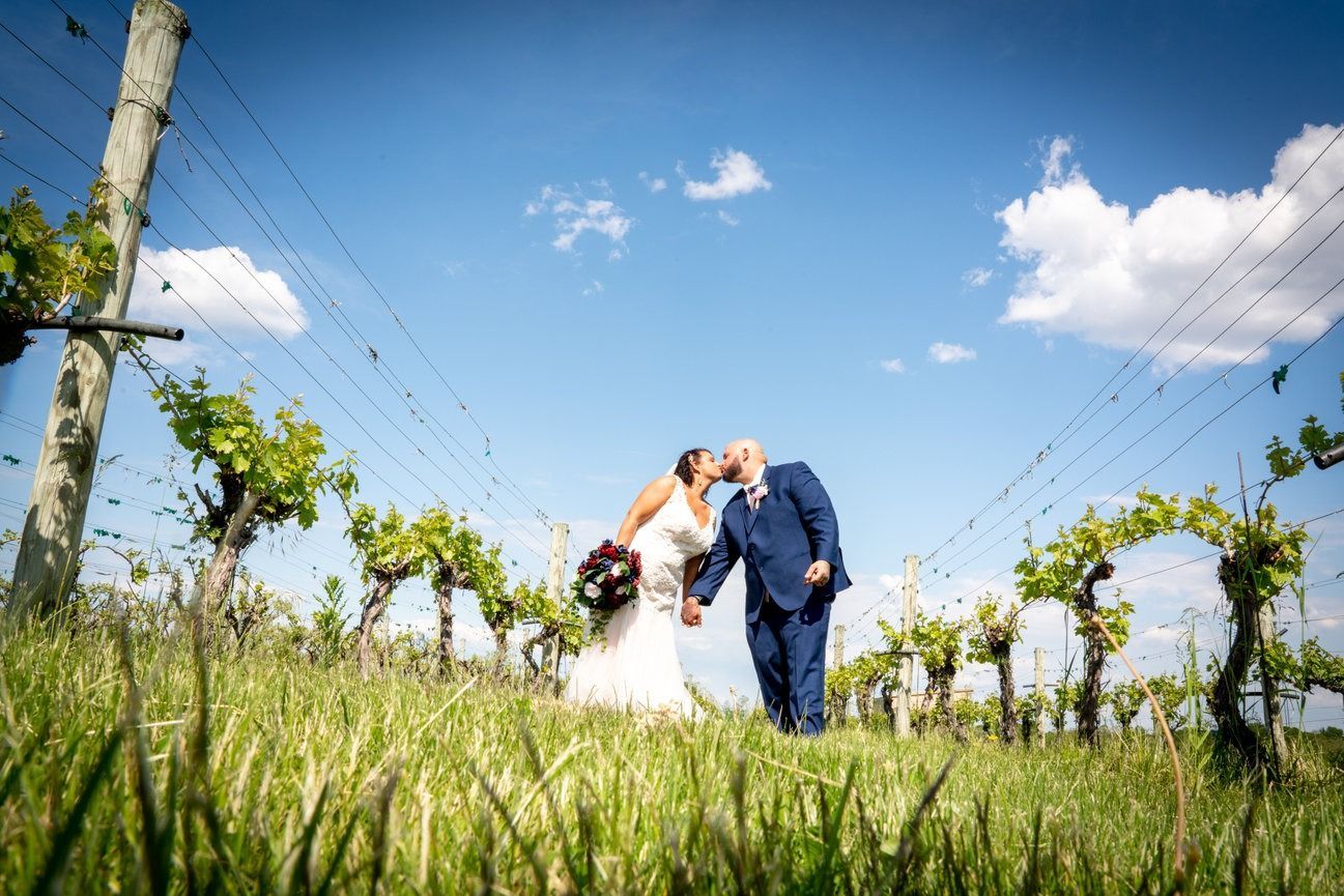 Wedding couple kissing in vineyard, groom in blue suit, bride in white dress, sunny blue sky.