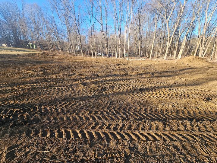 Trees Excavation
