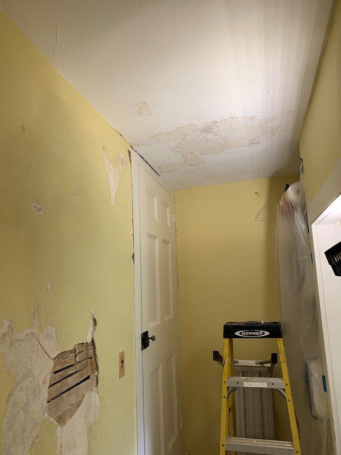 Wall & Ceiling Plaster in need of repair