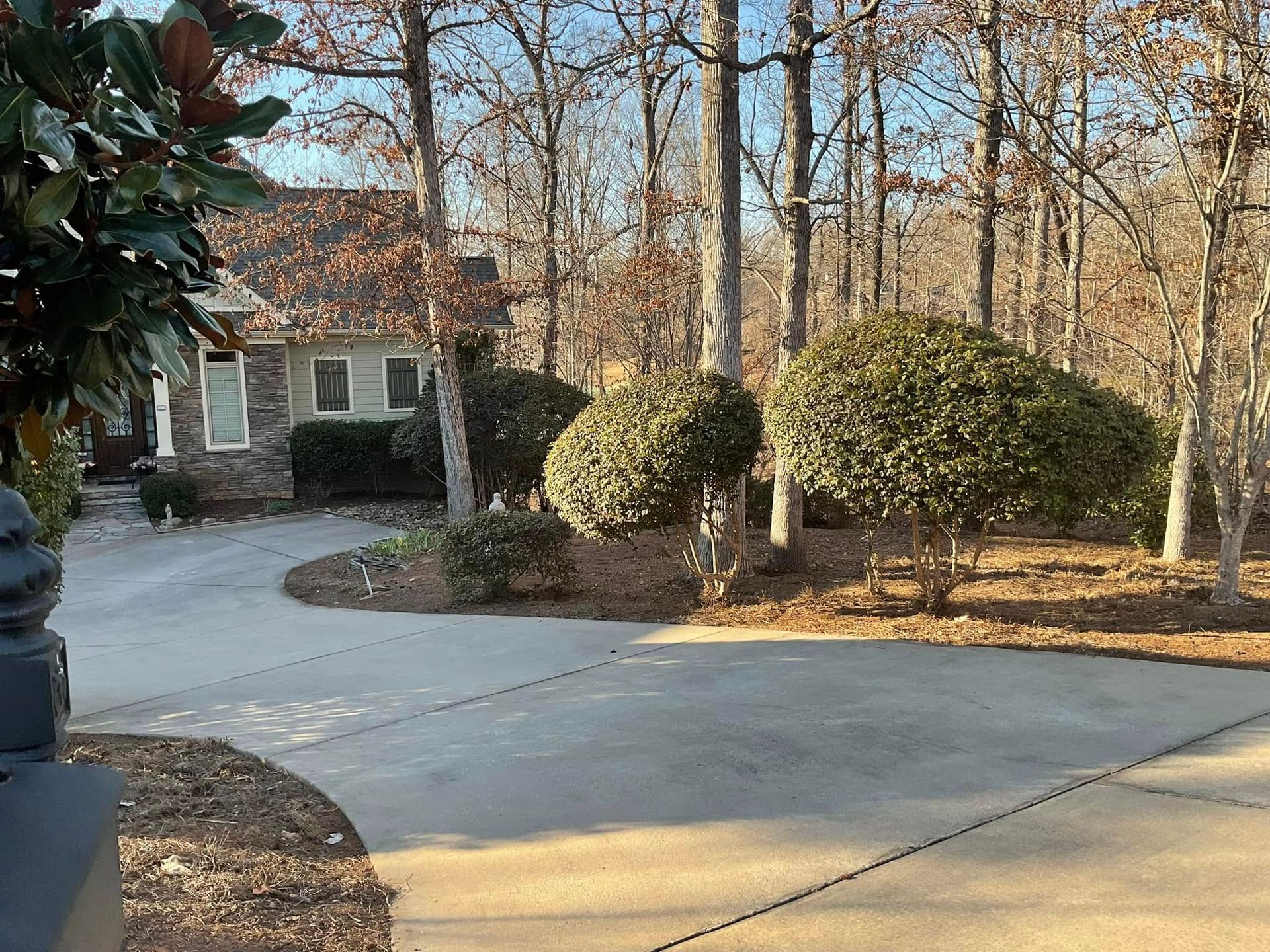 A driveway leading to a house surrounded by trees and bushes.