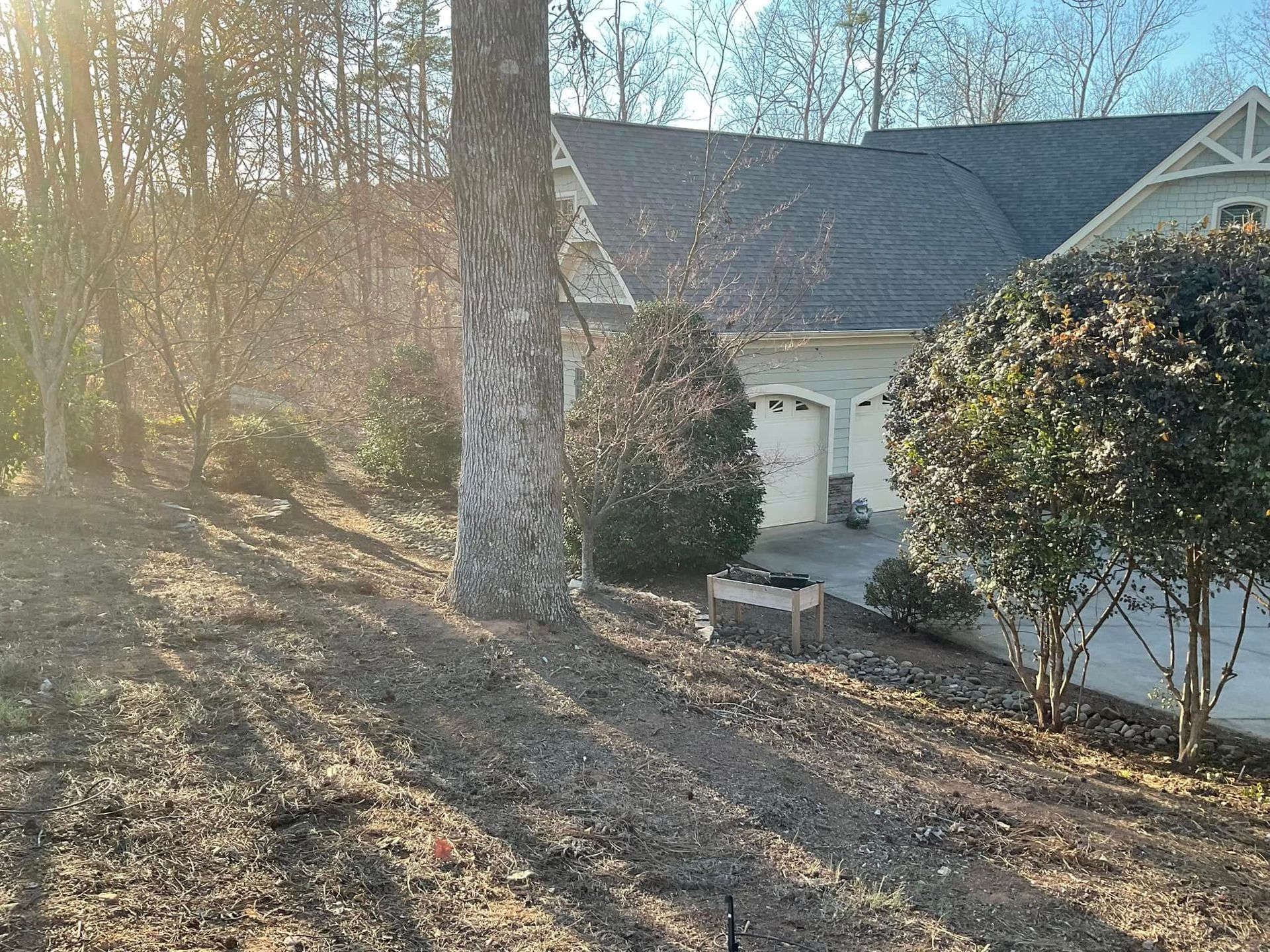 A house with a garage and a tree in front of it.