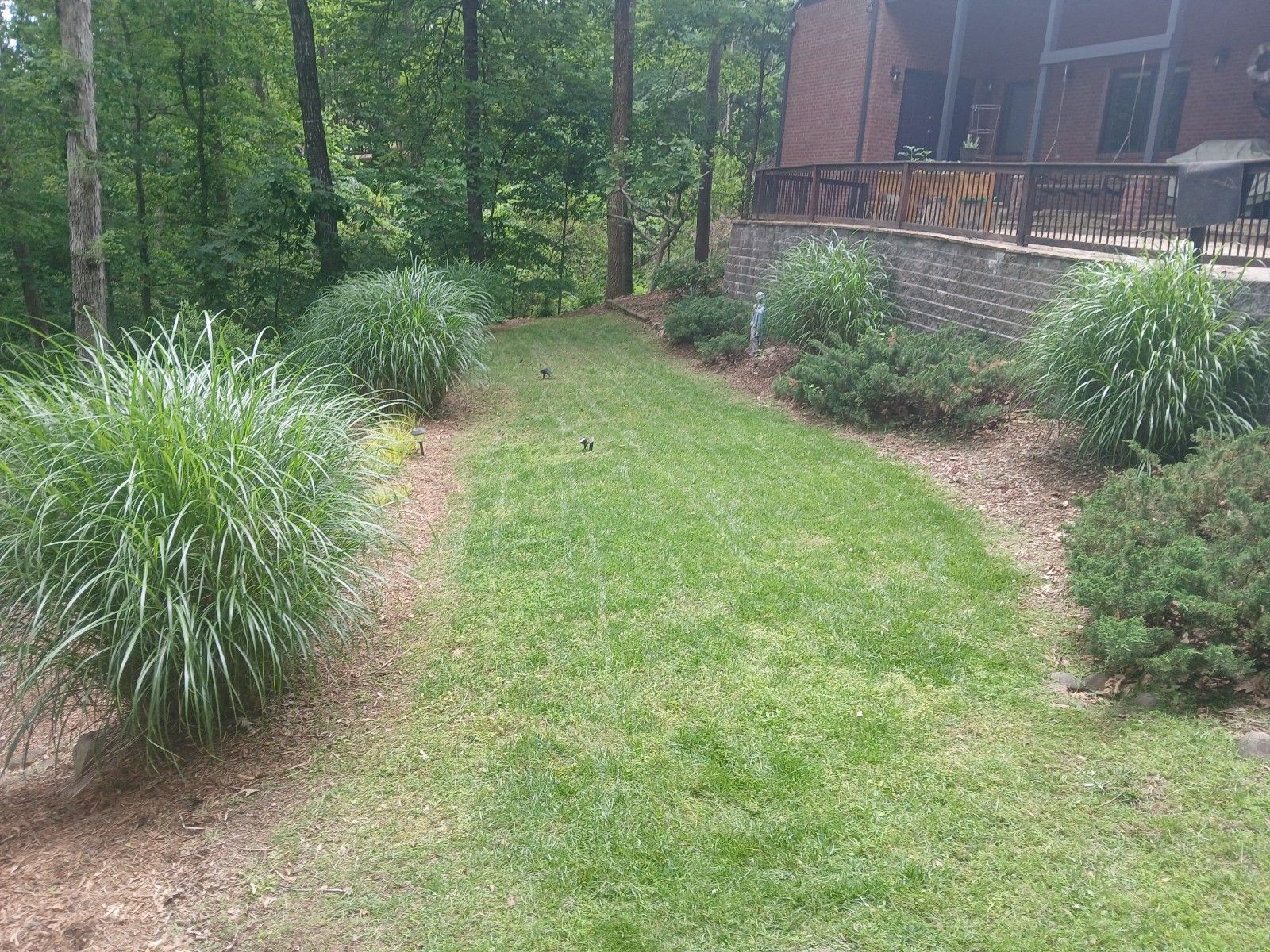 A lush green lawn is surrounded by trees and bushes in front of a house.