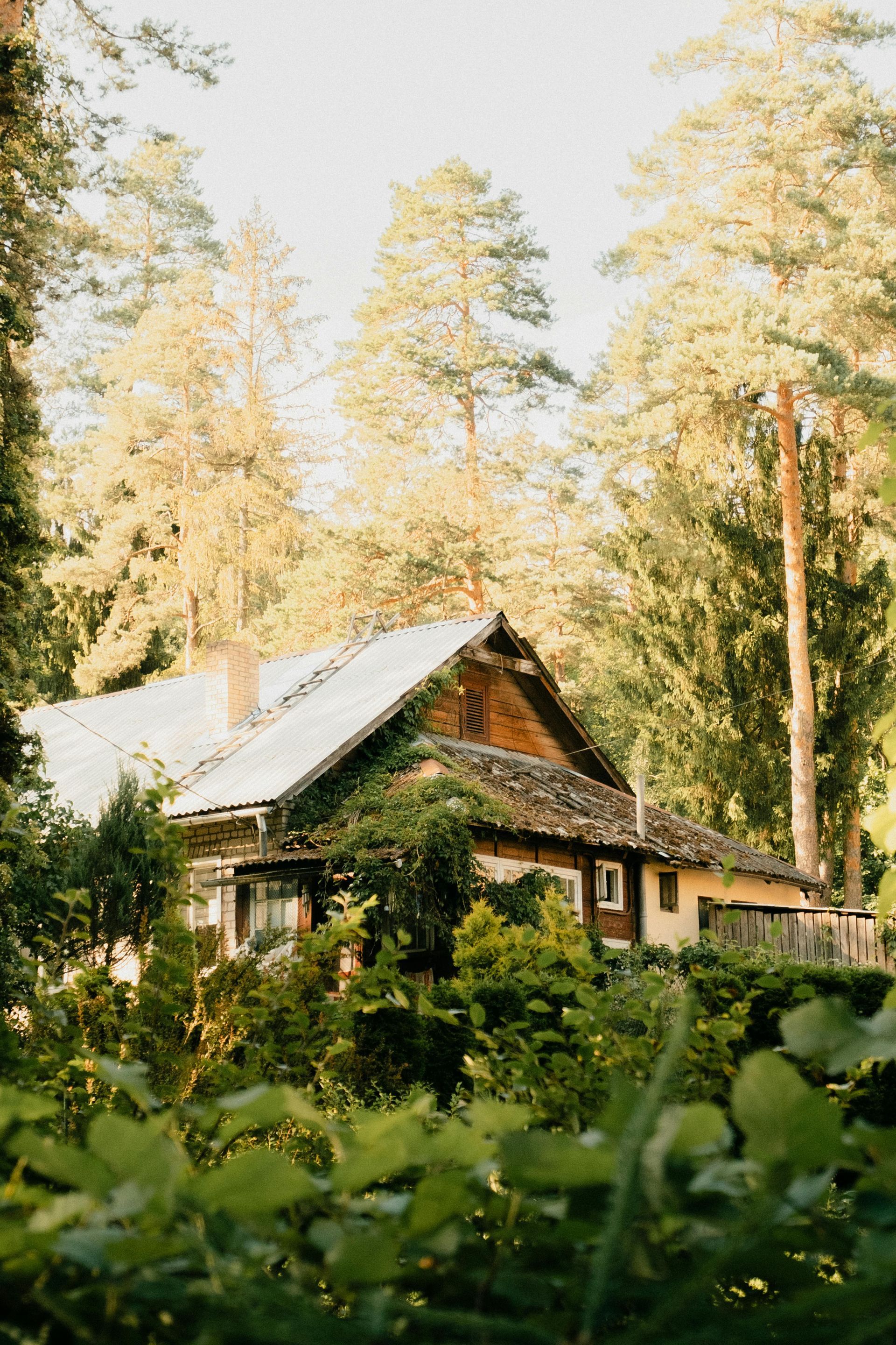 A small house in the middle of a forest surrounded by trees.