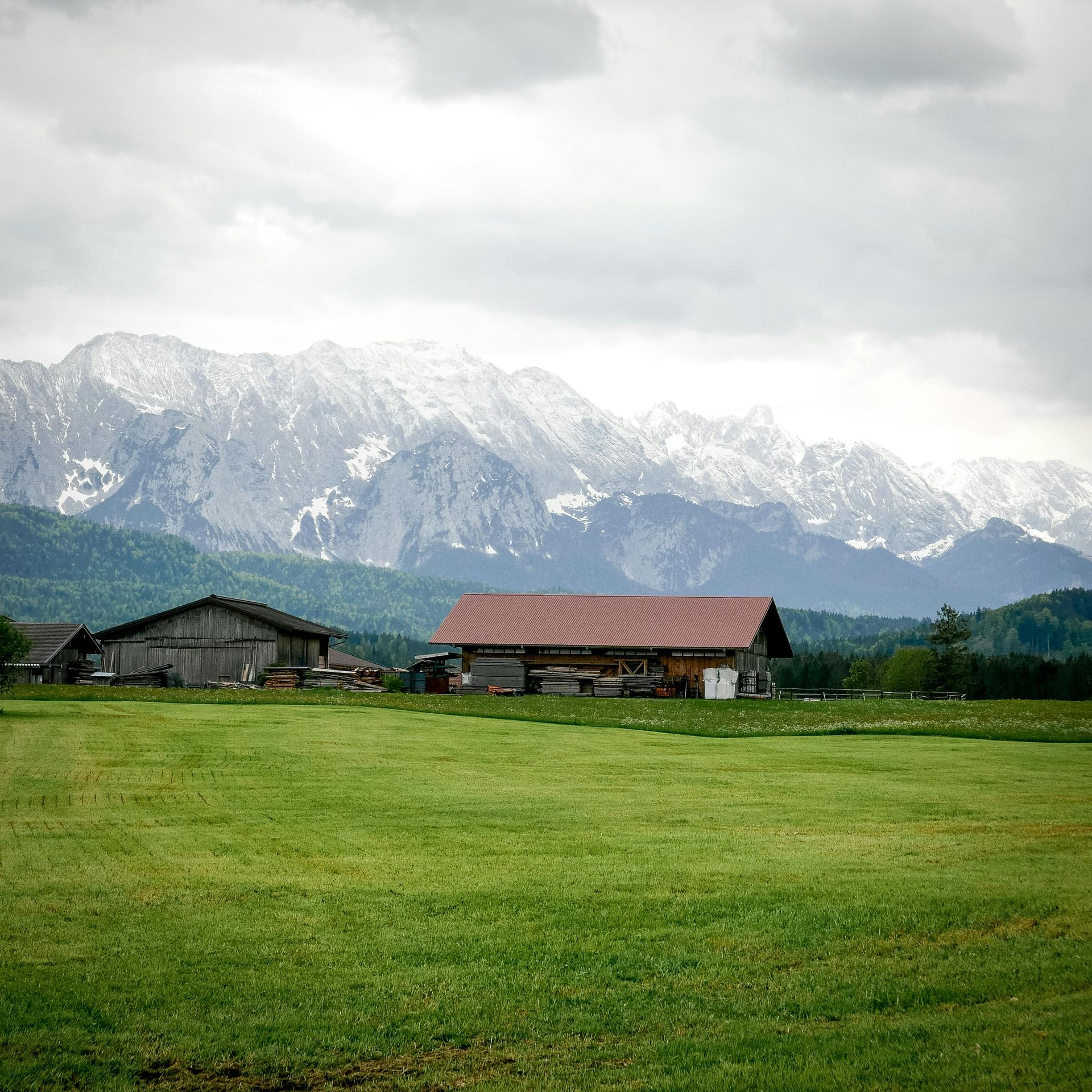 A lush green field with mountains in the background
