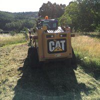 Manutenzione area verde 4