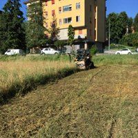 Manutenzione area verde