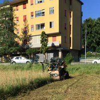 Manutenzione area verde 2