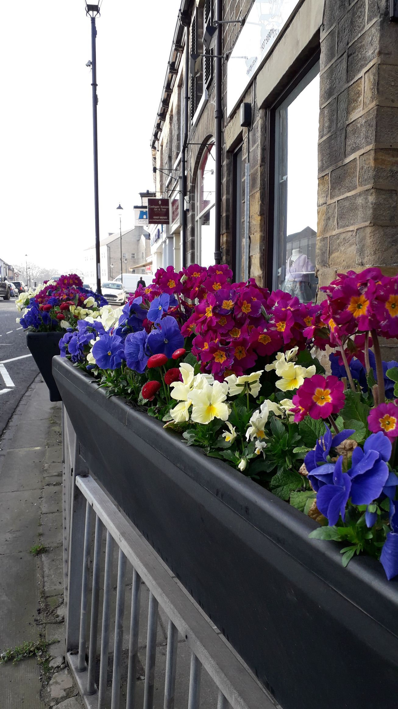 Wetherby in bloom